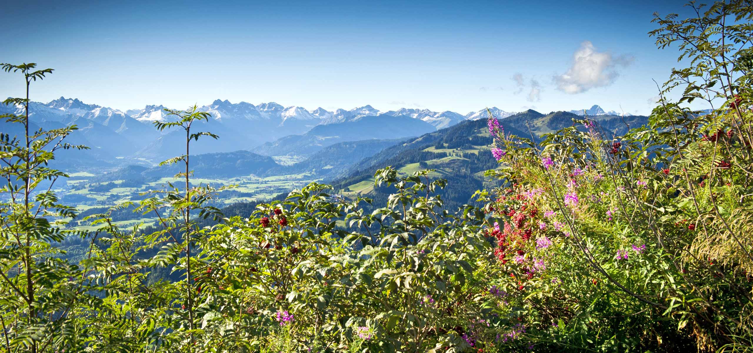 Blick auf den Mittag in Immenstadt im Allgäu | Gästehaus Stangl