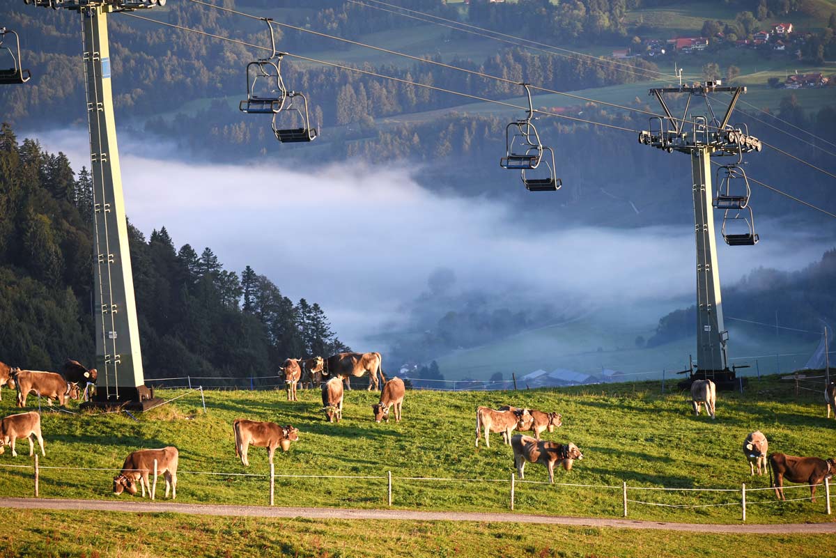 Skifahren in Gunzesried